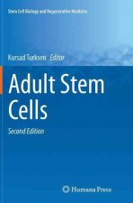 Adult Stem Cells