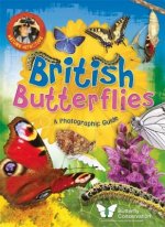 Nature Detective: British Butterflies