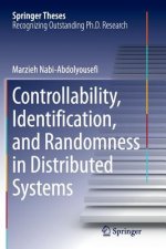 Controllability, Identification, and Randomness in Distributed Systems