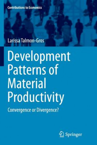 Development Patterns of Material Productivity