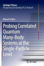 Probing Correlated Quantum Many-Body Systems at the Single-Particle Level