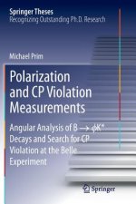 Polarization and CP Violation Measurements