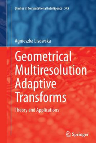 Geometrical Multiresolution Adaptive Transforms