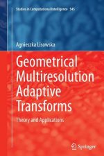 Geometrical Multiresolution Adaptive Transforms