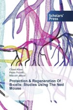 Protection & Regeneration Of -cells: Studies Using The Nod Mouse