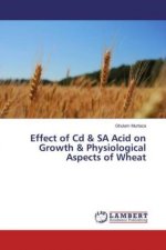 Effect of Cd & SA Acid on Growth & Physiological Aspects of Wheat