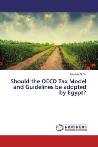 Should the OECD Tax Model and Guidelines be adopted by Egypt?