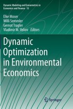 Dynamic Optimization in Environmental Economics