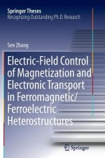 Electric-Field Control of Magnetization and Electronic Transport in Ferromagnetic/Ferroelectric Heterostructures