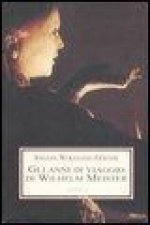 Gli anni di viaggio di Wilhelm Meister, o i Rinuncianti