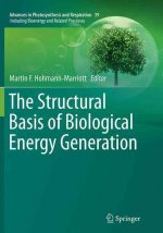 Structural Basis of Biological Energy Generation