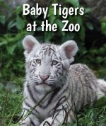 Baby Tigers at the Zoo