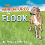 Adventures of Flook
