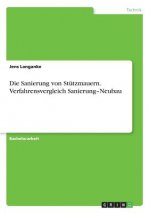 Sanierung von Stutzmauern. Verfahrensvergleich Sanierung-Neubau
