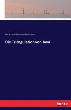 Triangulation von Java