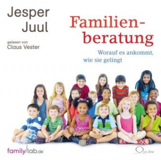 Juul, J: Familienberatung/4 CDs