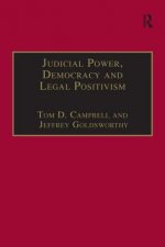 Judicial Power, Democracy and Legal Positivism