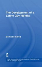 Development of a Latino Gay Identity