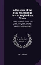 A SYNOPSIS OF THE BILLS OF EXCHANGE ACTS