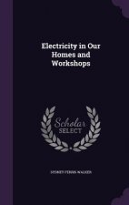 ELECTRICITY IN OUR HOMES AND WORKSHOPS