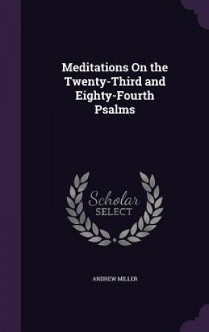 MEDITATIONS ON THE TWENTY-THIRD AND EIGH