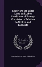 REPORT ON THE LABOR LAWS AND LABOR CONDI