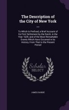 THE DESCRIPTION OF THE CITY OF NEW YORK