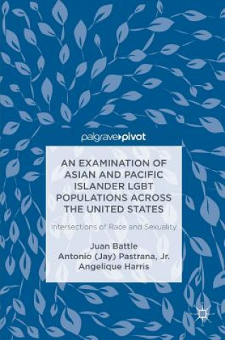 Examination of Asian and Pacific Islander LGBT Populations Across the United States