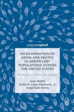 Examination of Asian and Pacific Islander LGBT Populations Across the United States