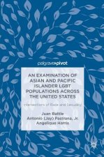 Examination of Asian and Pacific Islander LGBT Populations Across the United States