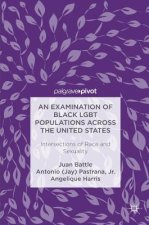Examination of Black LGBT Populations Across the United States