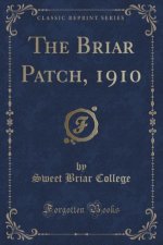 The Briar Patch, 1910 (Classic Reprint)