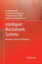 Intelligent Mechatronic Systems