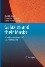 Galaxies and their Masks