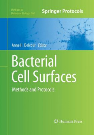 Bacterial Cell Surfaces