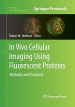 In Vivo Cellular Imaging Using Fluorescent Proteins