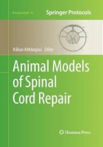 Animal Models of Spinal Cord Repair