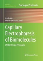 Capillary Electrophoresis of Biomolecules