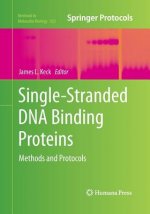 Single-Stranded DNA Binding Proteins