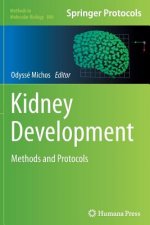 Kidney Development