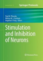 Stimulation and Inhibition of Neurons