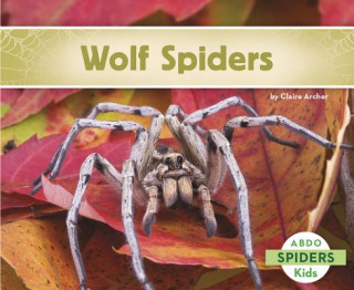 Wolf Spiders