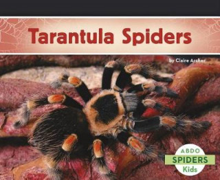 Tarantula Spiders