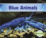 Blue Animals