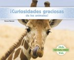 ?Curiosidades Graciosas de Los Animales!