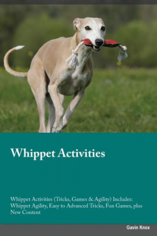 Whippet Activities Whippet Activities (Tricks, Games & Agility) Includes