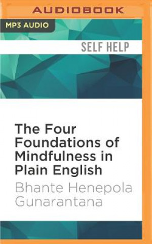 The Four Foundations of Mindfulness in Plain English