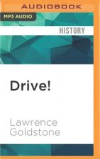 Drive!: Henry Ford, George Selden, and the Race to Invent the Auto Age