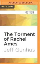 The Torment of Rachel Ames