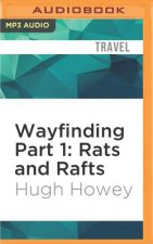 Wayfinding Part 1: Rats and Rafts